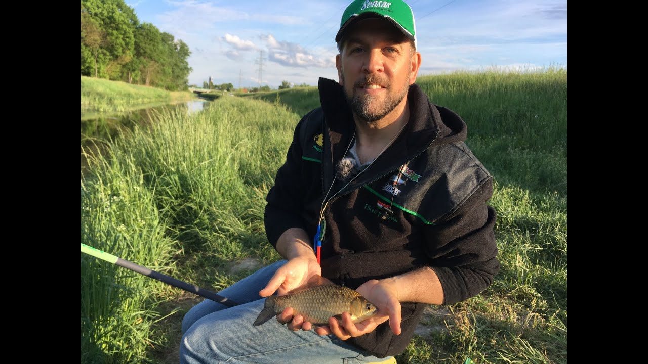 Rövid spiccbotos horgászat, minimális felszereléssel