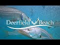LIVE Deerfield Beach - Underwater Camera
