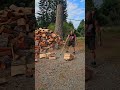 #firewood #splittingwood #treeservice #homeworkout #woodsplitting #diy #axe