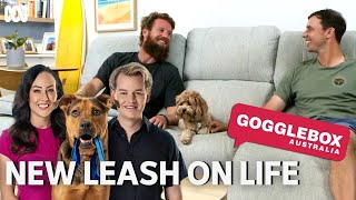 Gogglebox Australia watches New Leash On Life | New Leash On Life | ABC TV + iview