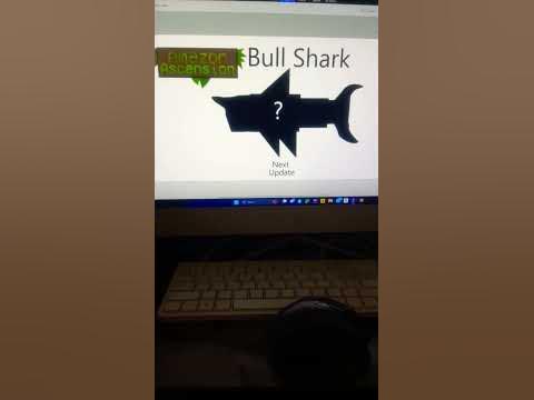 Amazon Ascension Update Next Bull Shark Roblox Patron - YouTube