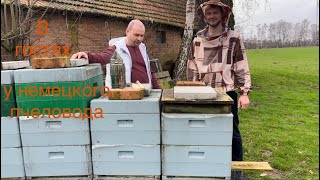 У пчеловода в Германии🇩🇪🇩🇪🇩🇪🐝🐝🐝🐝