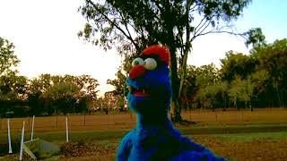 Larrikin Puppets In Boyne Valley, Qld