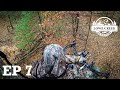 Halloween Weekend Bow Hunting EP:7 Bow Series