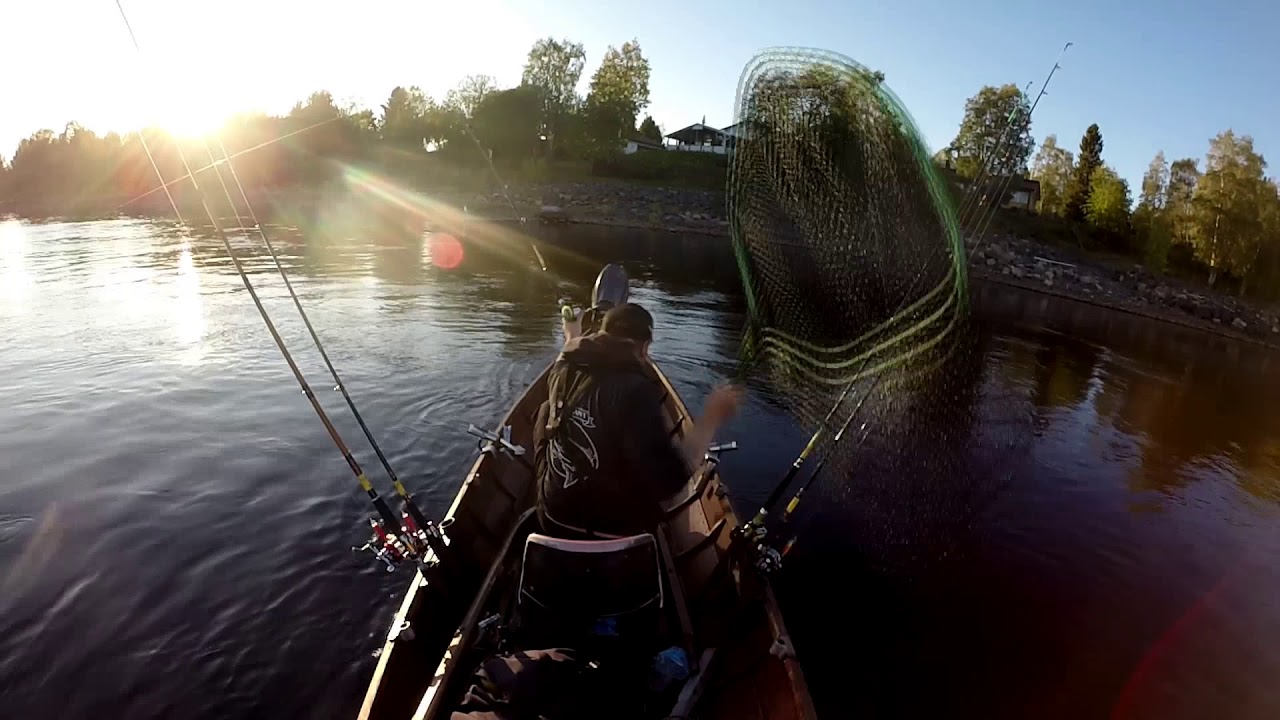Elokuun lohi Marjas vaapulla