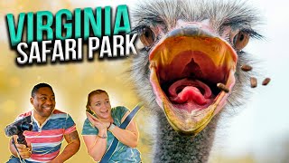 "Virginia Safari Park | You Won't Believe the Amazing Animals We Saw!