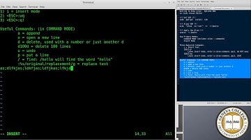 Tutorial: How to Use vi/vim on Linux and UNIX Intermediate Usage