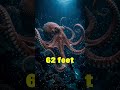 Giant Octopus Fossil Discovered | Kraken Was Real in Cretaceous Period?