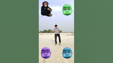 Which God do you believe in? #shankar ji #laxmi ji #ganesh ji #hanuman ji #relegious #devotion