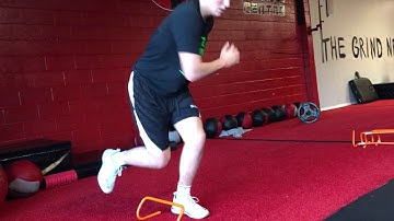 SL Lateral Hurdle Hops