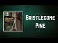 Rumer  bristlecone pine lyrics