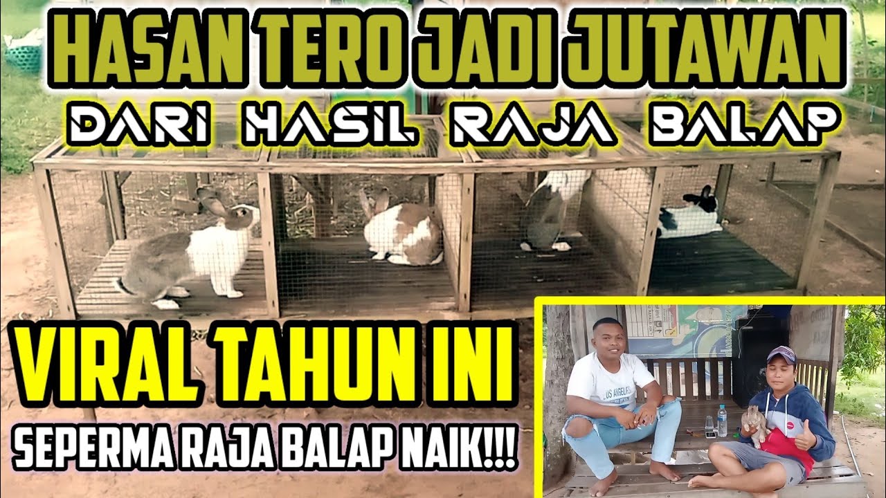 REVIEW MARKAS RAJA BALAP TEAM || PALANG SEPIRMA RAJA NAIK!!?