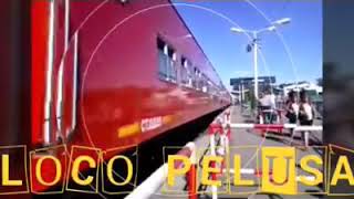 El loco pelusa - en el ultimo tren