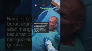 Bahaya Makan Daging Anjing, dari Rabies sampai Infeksi Bakteri #bahaya #daginganjing #penyakit