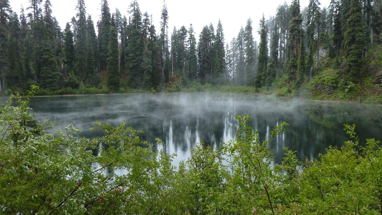 CounterStrike Global Offensive LIVE (GTG Network)DelfosBRc