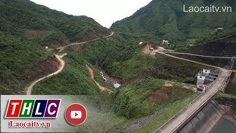 Chuyển đổi số trong quản lý và bảo vệ rừng | THLC