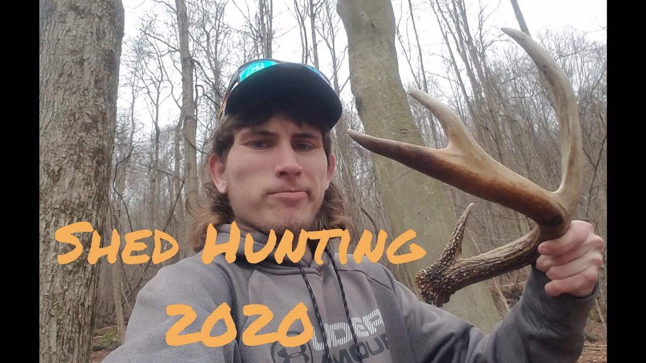 Shed Hunting 2020 Sheds For Days! YouTube