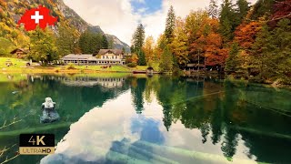 Blausee, Switzerland 🇨🇭 A Heavenly Beautiful Lake on Earth ☀️Most Beautiful Places. Relaxing Walk 4K