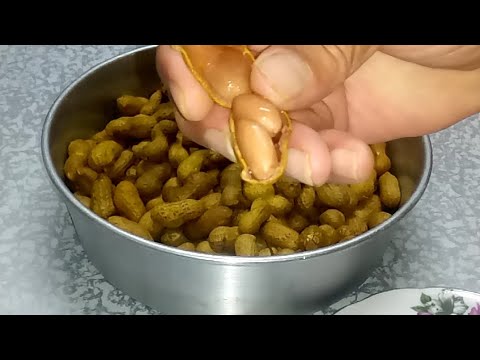 Video: Kacang untuk Kacang