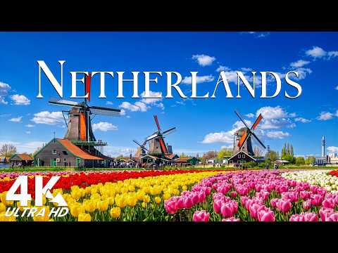 Netherlands 4K | A Hidden World of Wonder – Tulip Fields, Windmills & Timeless Dutch Beauty