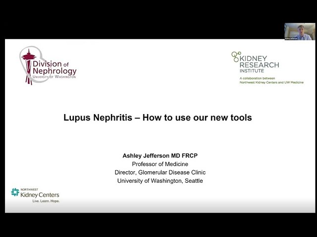 nephritis Latin nephritis Latin