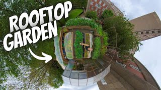 He GROWS 80 kg of Food per Week in his ROOFTOP Garden