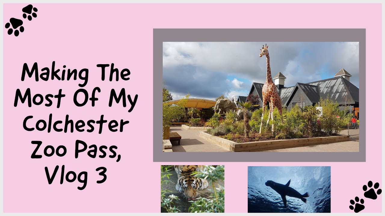 Making The Most Of My Colchester Zoo Pass, Vlog 3 YouTube
