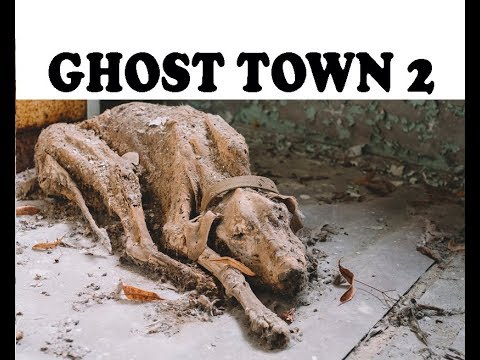 Чернобыль Город Призрак 2 La région de Tchernobyl 2