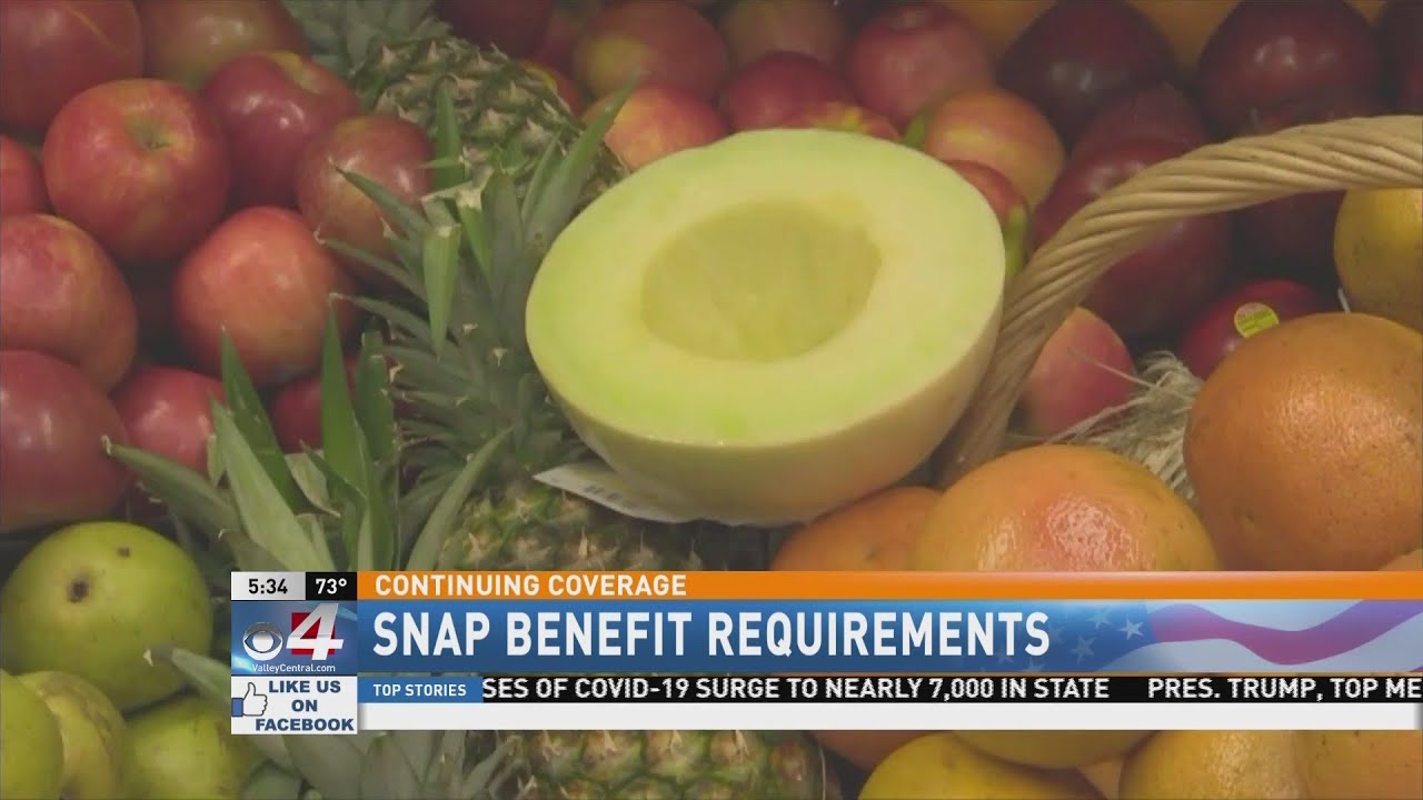 SNAP Benefits Requirement YouTube