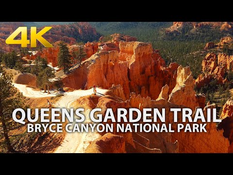 Video: Cestovní Průvodce Do Národního Parku Bryce Canyon, Utah