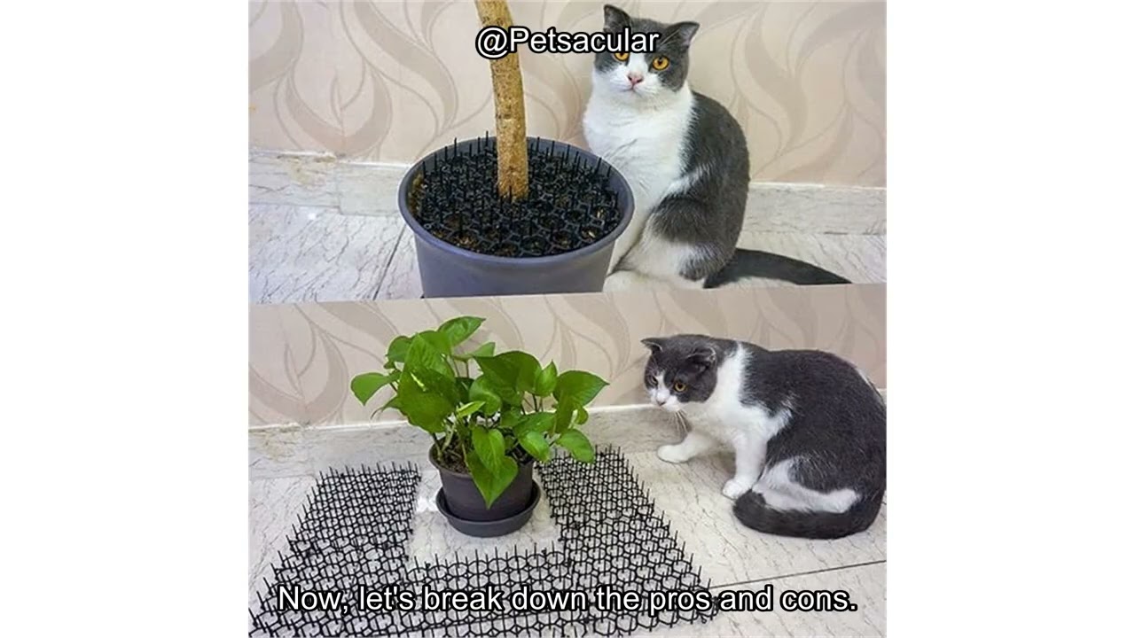 Ley's 12 Pack Cat Deterrent Mat Review: Does It Really Keep Cats Away Effectively?