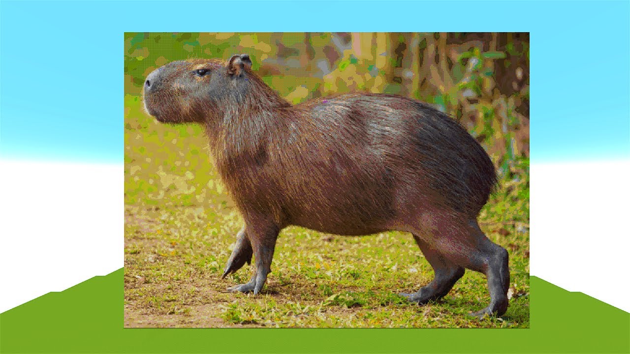 Capybara in minecraft #capybara #minecraftbuilding #minecraftbuilds #m