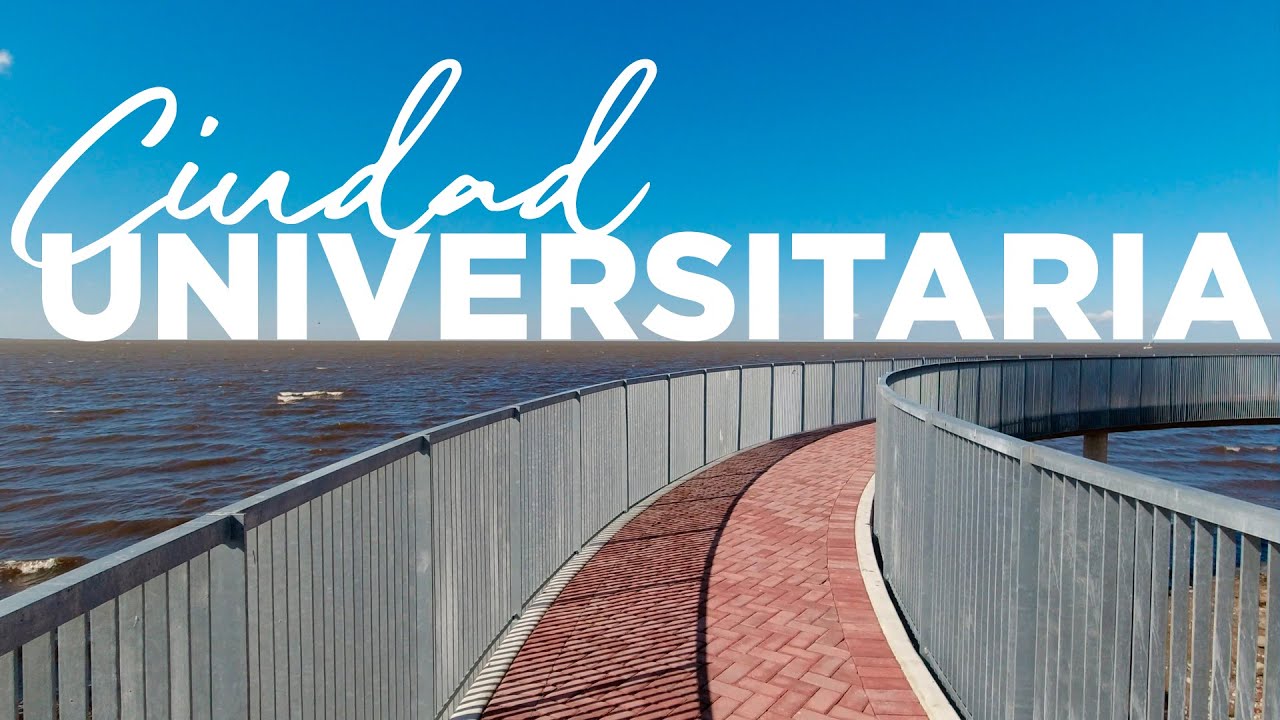 A relaxing walk through Ciudad Universitaria nature reserve - Buenos Aires | 4K