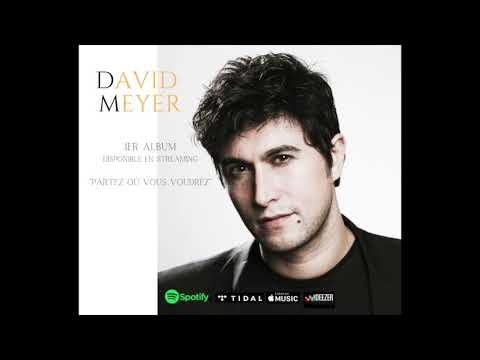 David Meyer - Si ça ne marche pas entre nous