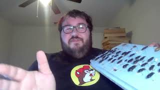Weekend stream! Live ants while I put labels on | preparing specimens later | November 22, 2025