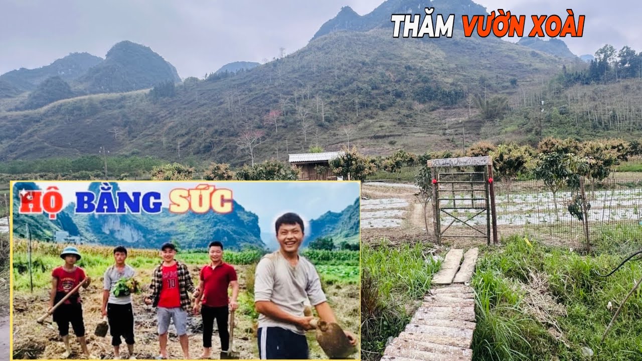 KÝ ỨC VƯỜN XOÀI - NẮNG MAI TV, HOA ĐÁ CAO NGUYÊN, A LÚA, PHỨ 2005 | THẤM THOÁT ĐÃ 4 NĂM TRÔI QUA