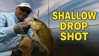 Drop Shotting In Shallow Water | Bass Fishing