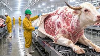 Inside a White Bull Horn Factory – Full Process From Raw Horn to Finished Products