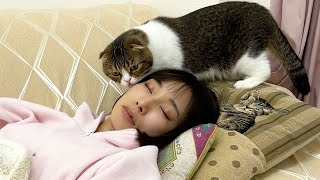 😻2度寝女王VS絶対に起こす猫