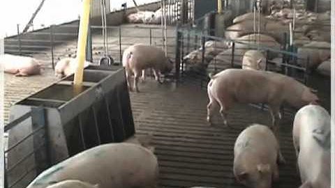 Nedap Velos Training Video Part 1 mpg