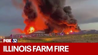 Massive fire at Illinois farm kills millions of chickens