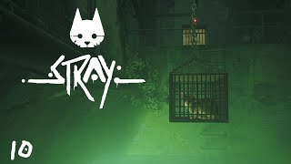 Stray Playthrough Part 10