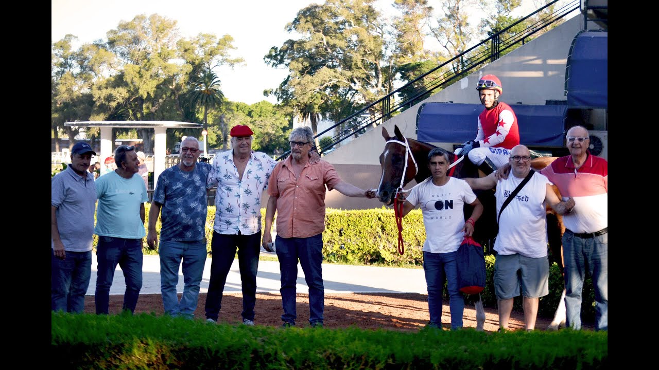 Especial República de Panamá 2026 - Gran Celestial (Il Mercato)