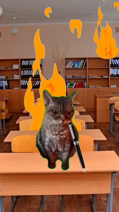 Пов: пожарная кнопка в школе 😂 но это мем коты#мем#мемы#смешные коты ...