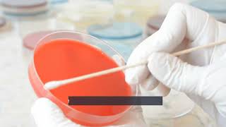 Life Science: Detect and Eliminate Mycoplasma Contamination in Cell Culture Samples [MP Biomedicals]