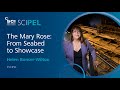 The Mary Rose From Seabed To Showcase Helen Bonser Wilton SCIPEL 2017 SCI