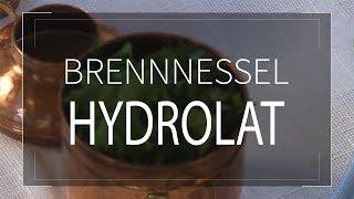 Brennnessel-Hydrolat | Kräuter- und Kochwerkstatt
