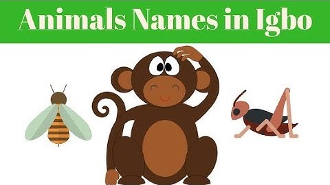 Learn Igbo : Animal names in Igbo