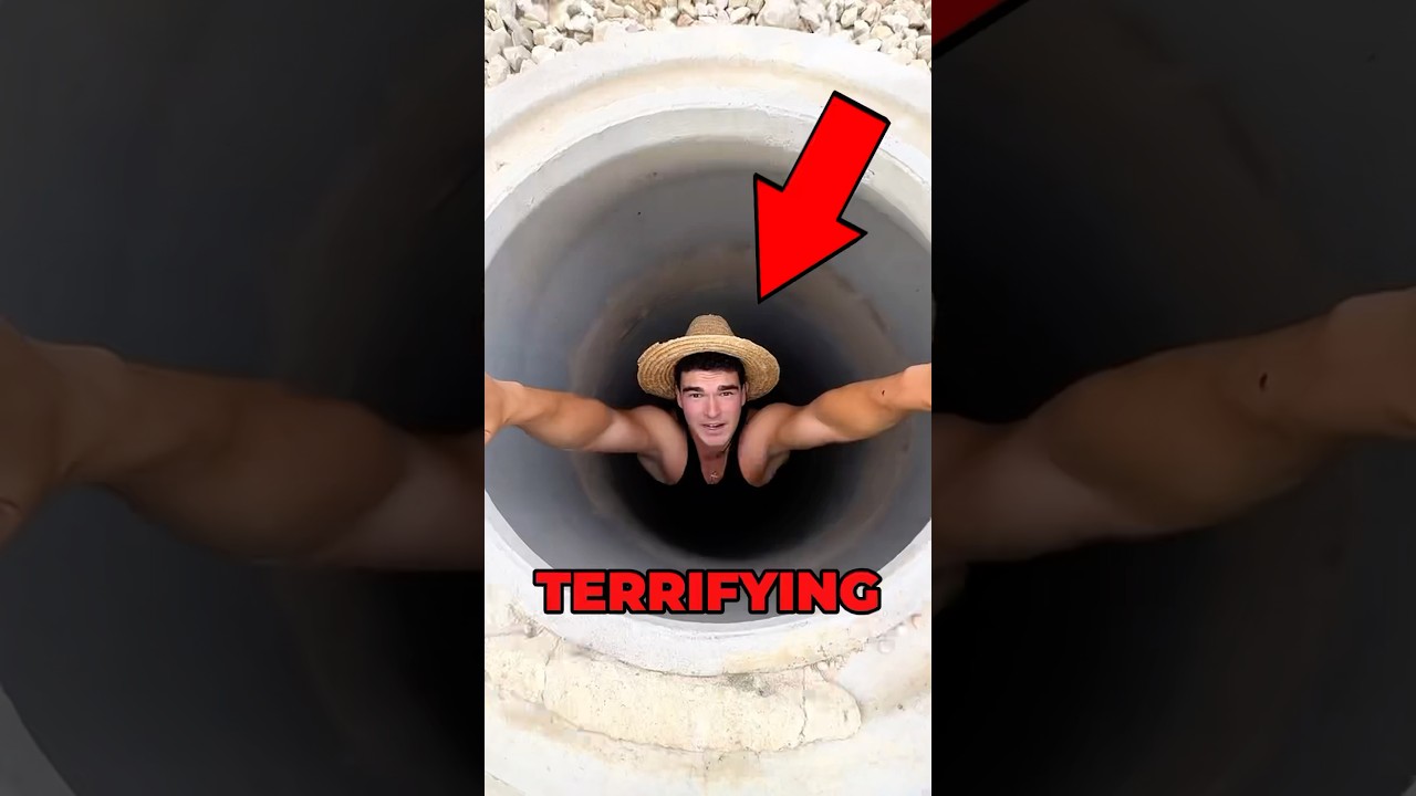 Animal Rescued From Sewer