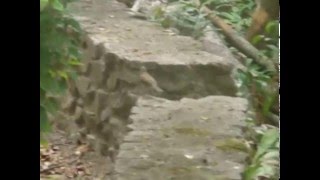 Una vuelta por Puerto Ordaz.